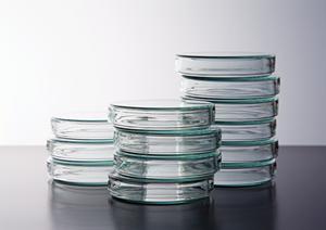 渋谷で評判の婦人科を徹底比較!2025年最新の選び方と安心して通える医院ガイド